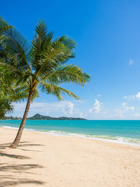 Tropisch strand van Koh Samui eiland — Stockfoto