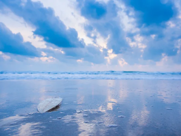 Planche de surf sur la plage au coucher du soleil — Photo