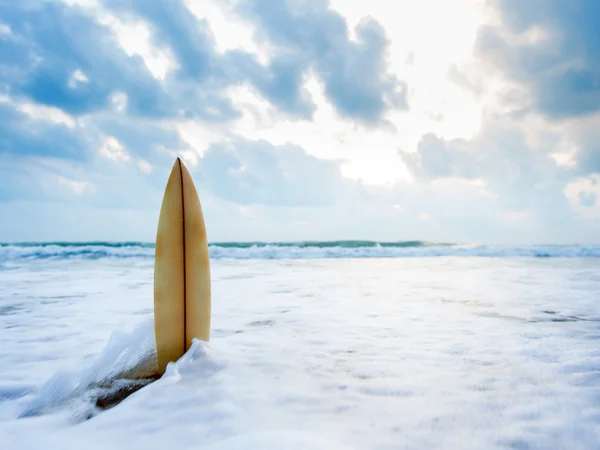 Surfboard na pláži při západu slunce — Stock fotografie