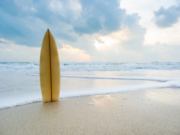 Surfingbräda på stranden vid solnedgången — Stockfoto