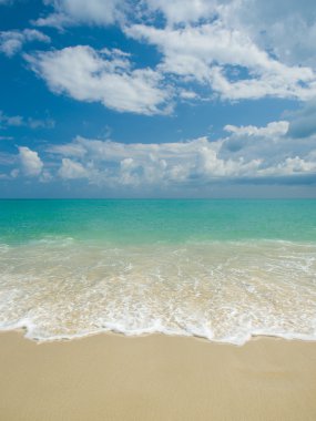 Koh Samui Adası peyzaj 