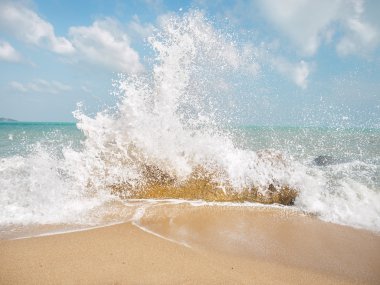 Koh Samui Adası peyzaj 