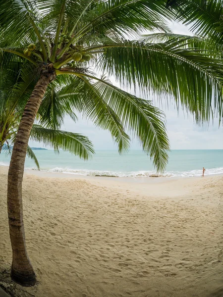 Paisagem da ilha de Koh Samui — Fotografia de Stock