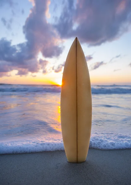 Surfingbräda på stranden vid solnedgången — Stockfoto