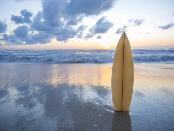 Tabla de surf en la playa al atardecer —  Fotos de Stock