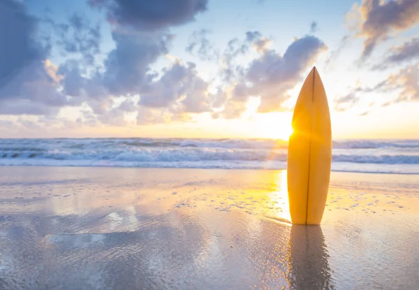 Planche de surf sur la plage au coucher du soleil — Photo