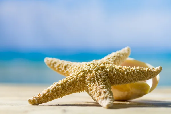 Starfish on the deck at the beach — Stock Photo, Image