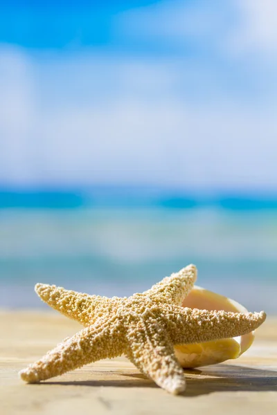 Starfish on the deck at the beach — Stock Photo, Image