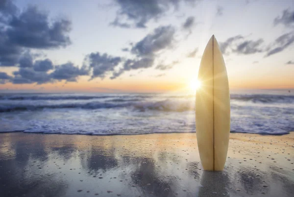 Surfboard on the beach at sunset — Stock Photo, Image