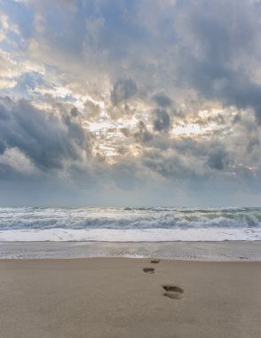 Koh Samui Adası tropik sahil