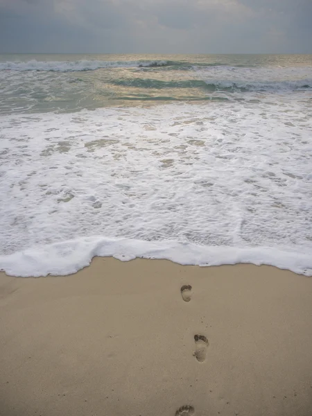 Tropisch strand in Koh Samui eiland — Stockfoto