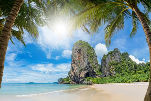 Spiaggia tropicale dell'isola di Koh Samui — Foto Stock