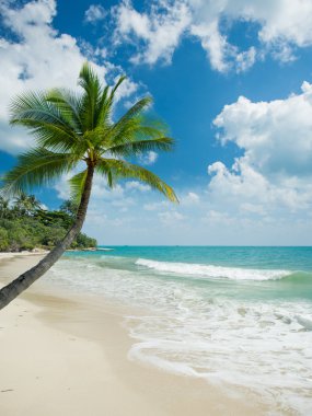 Görünüm Chaweng Beach, Koh Samui, Tayland