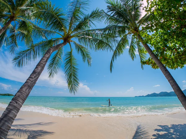 Joven hombre de pie paddle boarding en Tailandia —  Fotos de Stock