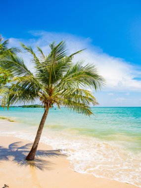 Koh Samui Adası peyzaj 