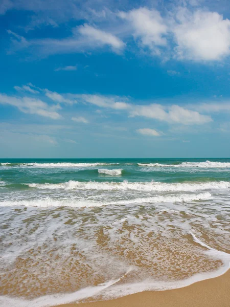 Güzel sahil ve tropikal deniz