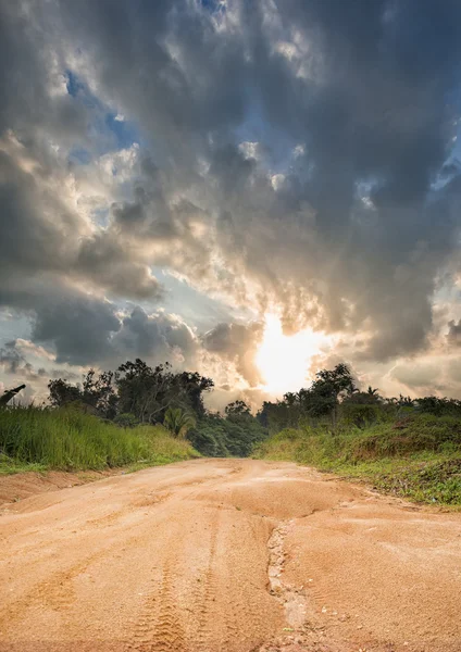 Strada sterrata nella giungla — Foto Stock