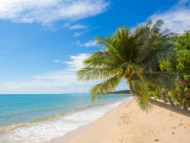 Tropikal beach Koh Samui Adası