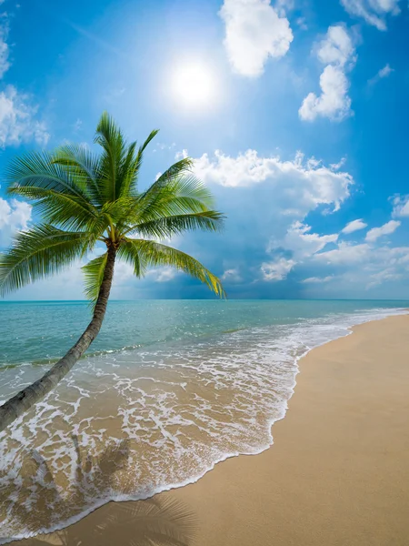 Bella spiaggia e mare tropicale — Foto Stock