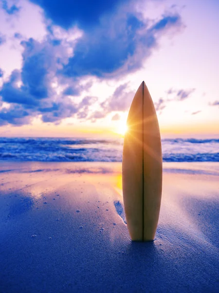 Surfplank op het strand bij zonsondergang — Stockfoto