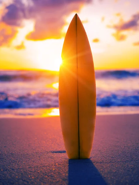 Surfplank op het strand bij zonsondergang — Stockfoto