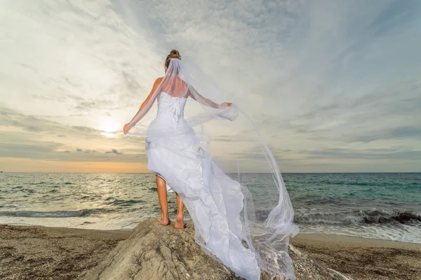 YOung bride by the sea at sunset Royalty Free Stock Photos