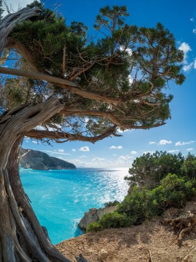 Lefkas ada Beach'de Porto Katsiki üzerinde göster 