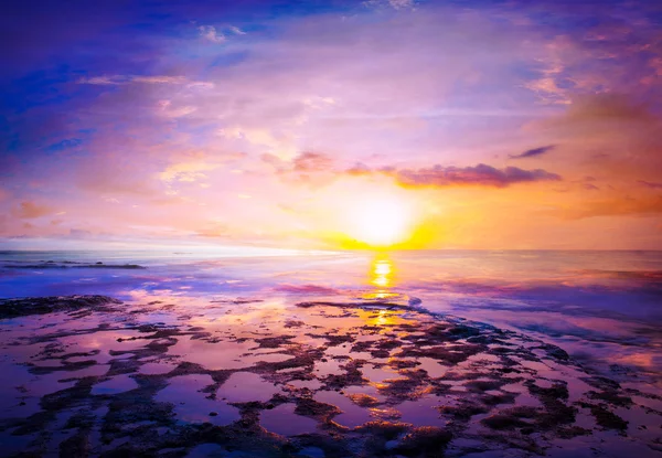 苔でビーチは、バリ島で朝岩をカバー — ストック写真