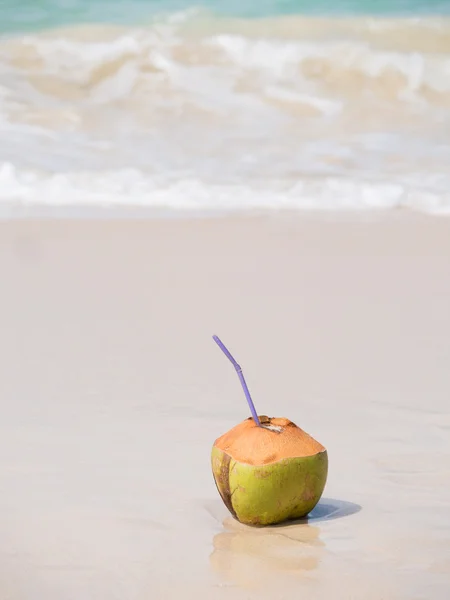 Coco na areia branca praia tropical — Fotografia de Stock