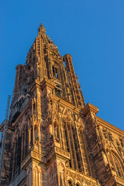 Cathedral of Our Lady of Strasbourg — Stock Photo, Image