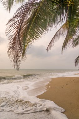 Tropik sahilde kasvetli hava durumu.