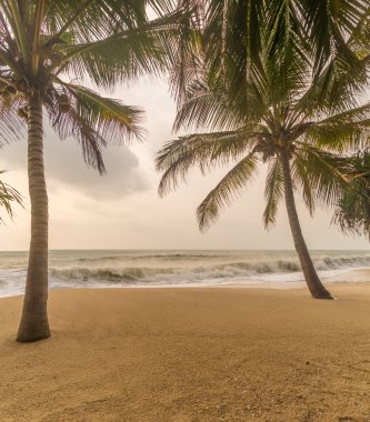 Tropik sahilde kasvetli hava durumu.
