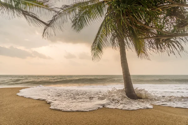Мрачная погода на тропическом пляже . — стоковое фото