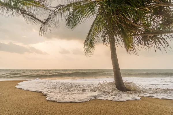 Tempo sombrio na praia tropical . — Fotografia de Stock