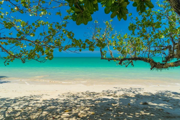 Paisagem tropical das ilhas Similares, Tailândia — Fotografia de Stock