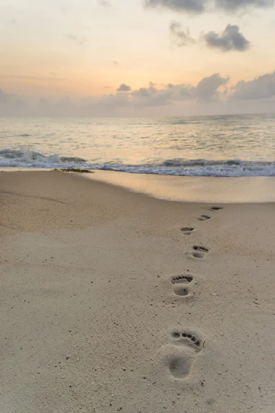 Empreintes de pas dans le sable — Photo