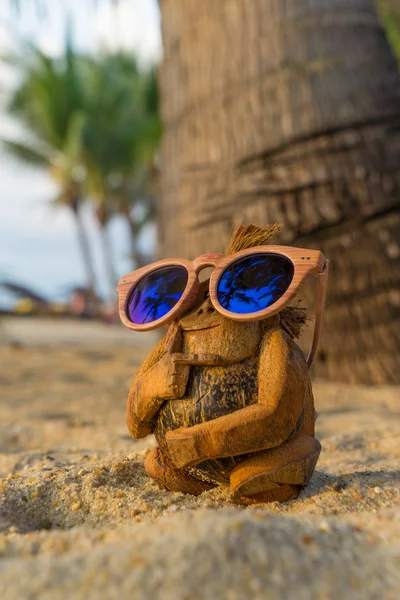 Singe de noix de coco sur la plage — Photo