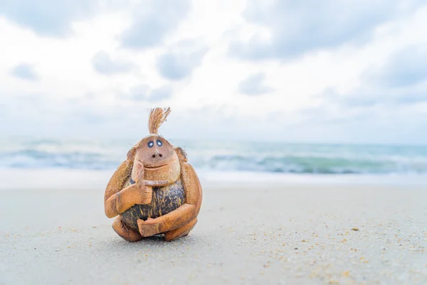 Macaco de coco na praia — Fotografia de Stock