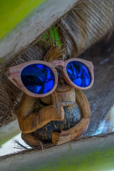 ビーチにココナッツ猿 — ストック写真