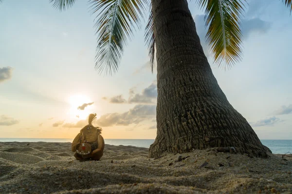 Singe de noix de coco sur la plage — Photo