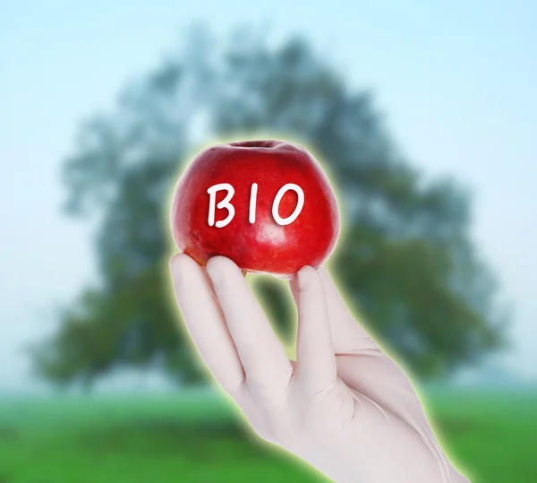 Bio czerwone jabłko — Zdjęcie stockowe