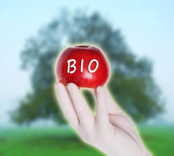 Rode bio appel — Stockfoto