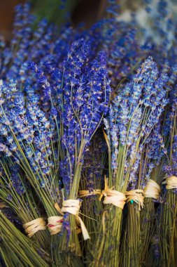 Güzellik kurutulmuş lavanta çiçekleri