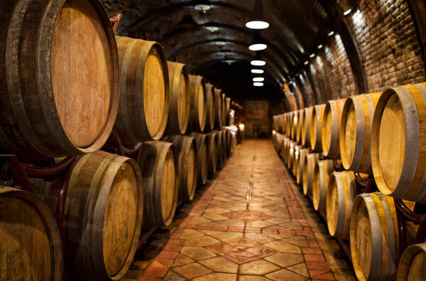 Wine barrels in wine-vaults in order