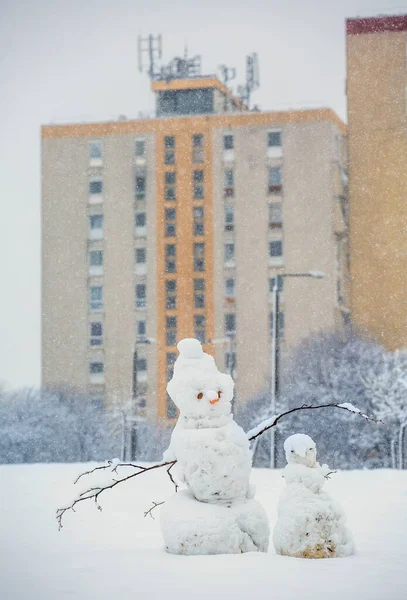 2つの面白い雪だるまが住宅不動産に立つ — ストック写真