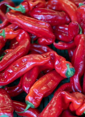 Olgun kırmızı kırmızı biber yığını