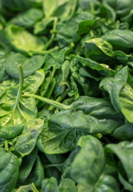 Bir yığın yeşil ıspanak yaprağı.
