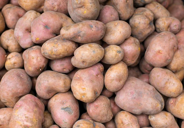 Куча Грязного Картофеля — стоковое фото