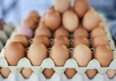 Karton kutuda bir sürü yumurta depolama