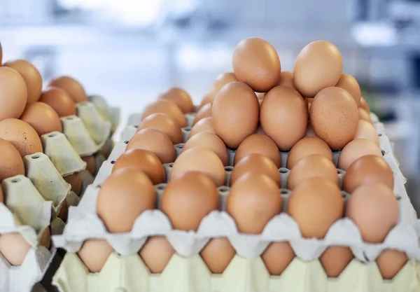 Storage Many Eggs Paper Box — Stock Photo, Image